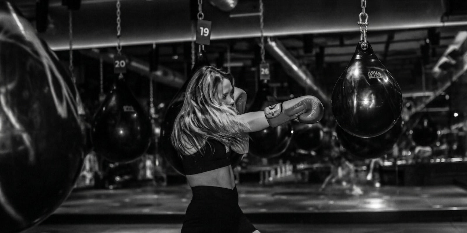 15" Aqua Punching Bags ProMountings