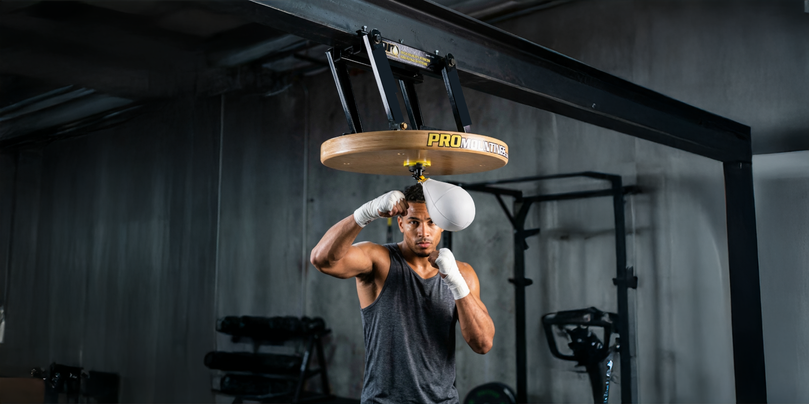 Speed Bag Mounts