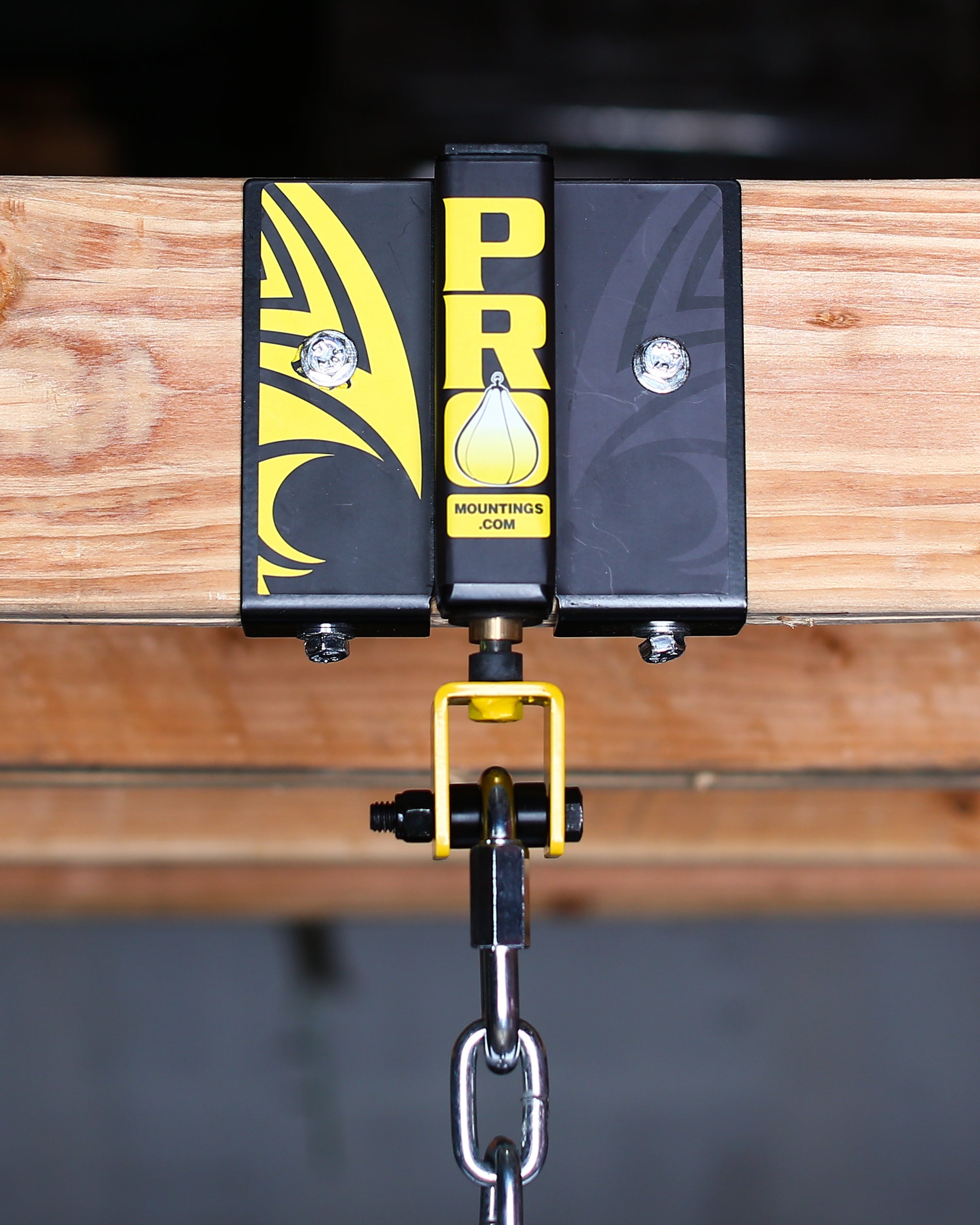 RM-1000 Rafter Mount