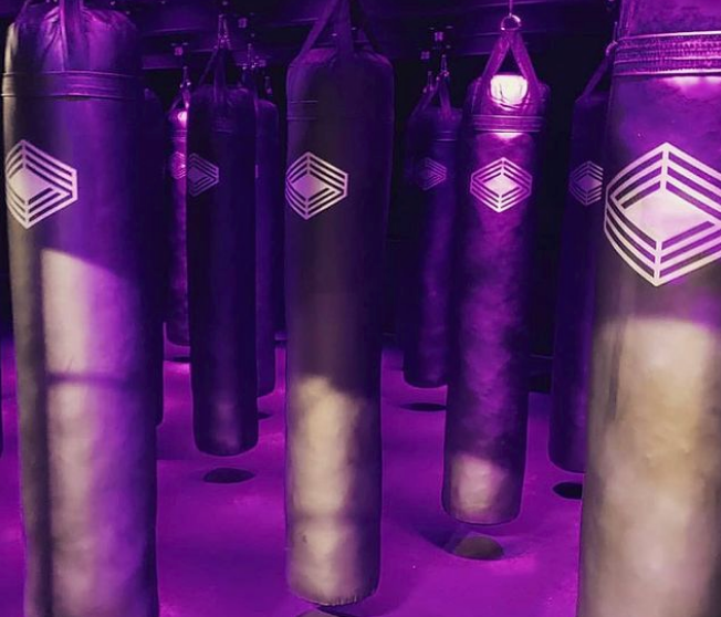 Custom Punching Bags ProMountings