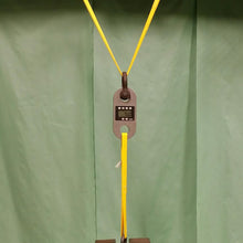 Load image into Gallery viewer, Weighted test 500LBS.