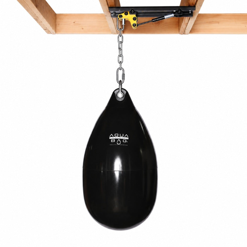 CM-1000GS Ceiling Mount