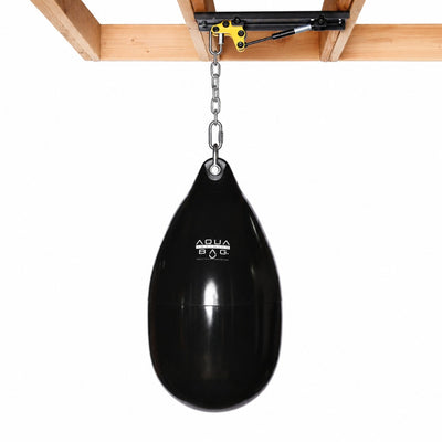 CM-1000GS Ceiling Mount