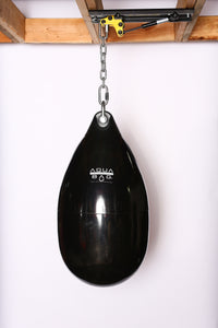 CM-1000GS Ceiling Mount
