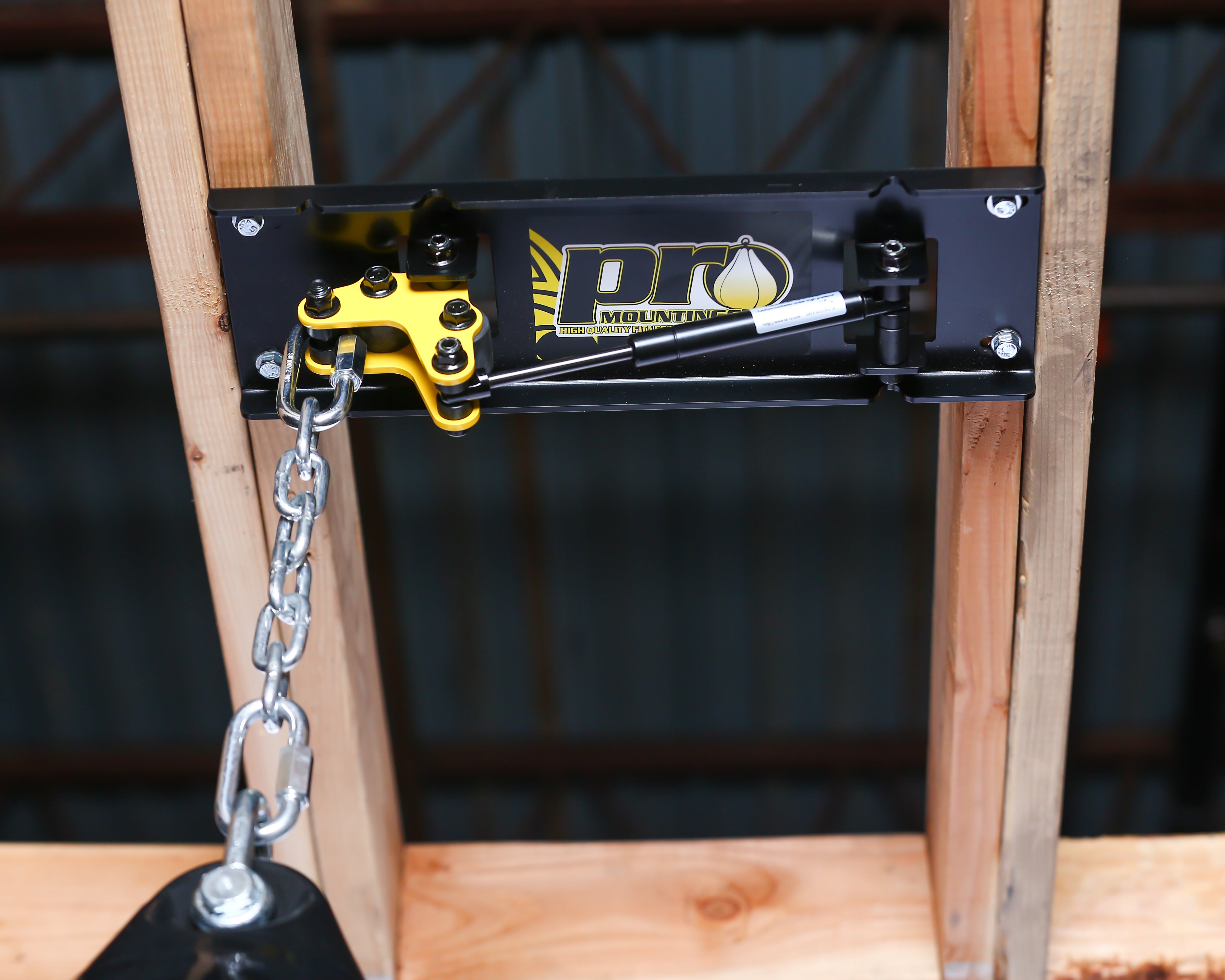 CM-2000GS Ceiling Mount