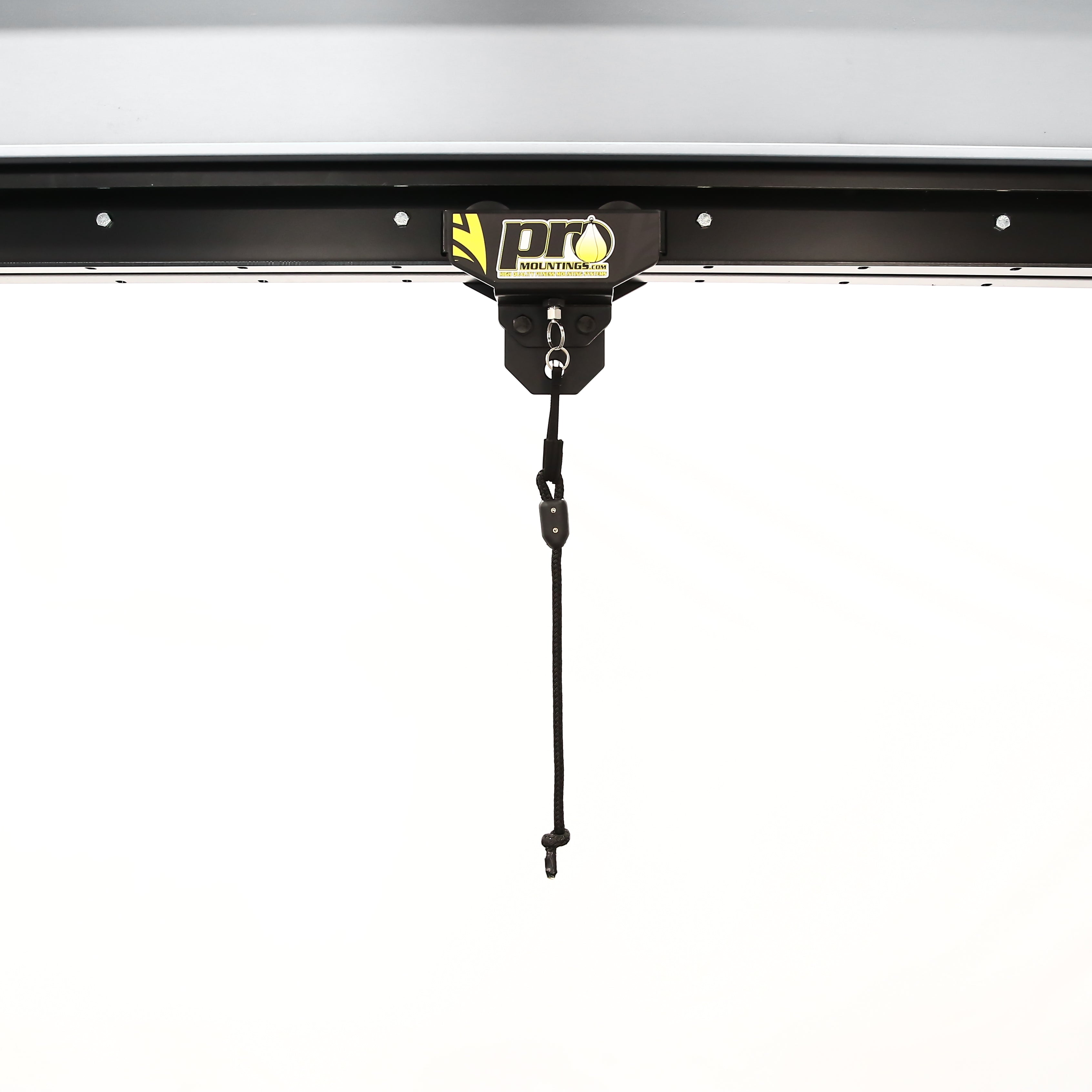 Spring Plunger Roller Mount