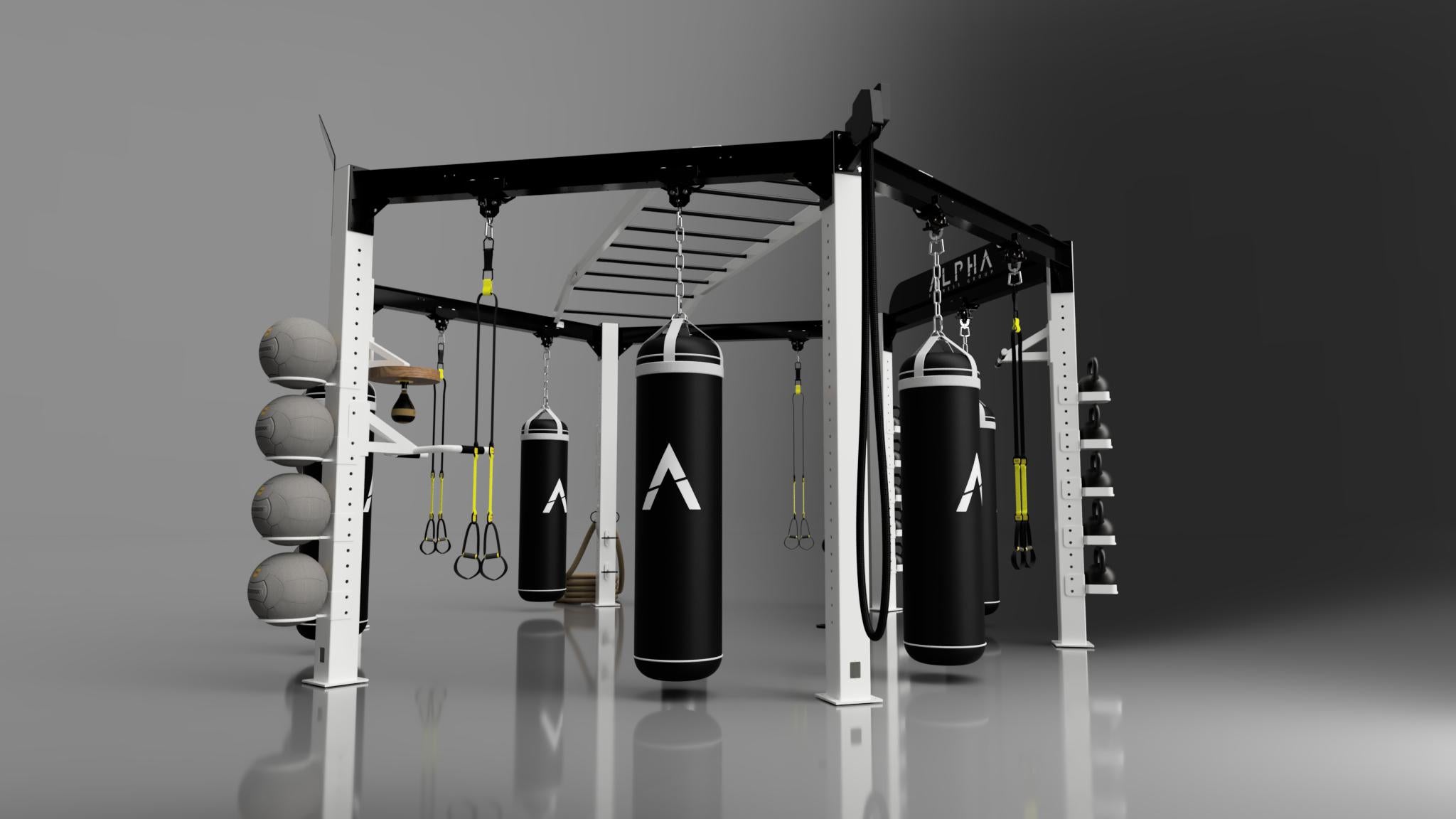 ALPHA Hex Rig