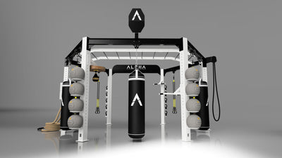 ALPHA Hex Rig