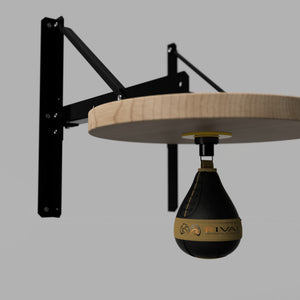 Wall Mount Speed Bag